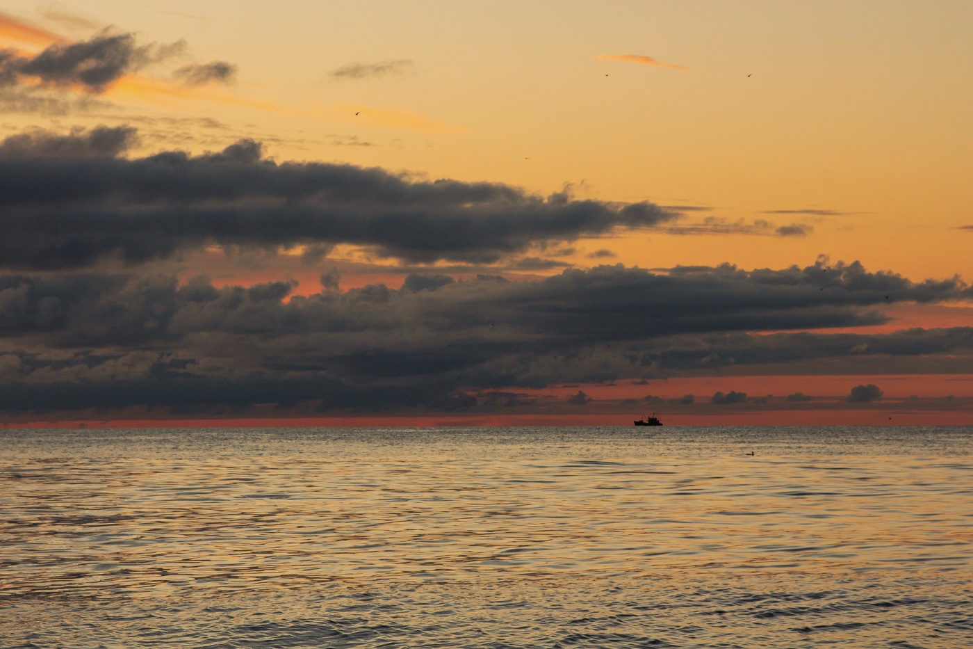 lila Sonnenuntergang