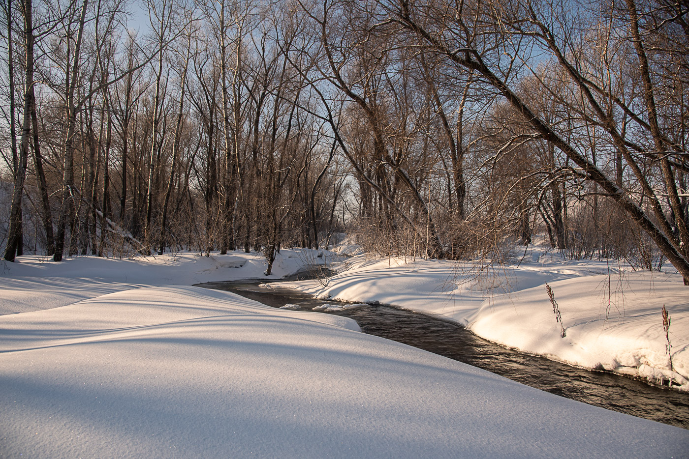 Winter river