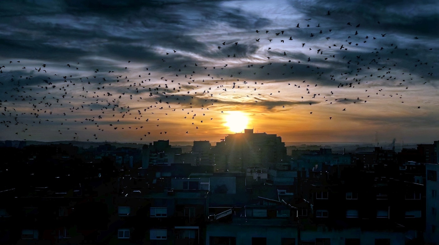 Reus - clareja el dia - Baix Camp