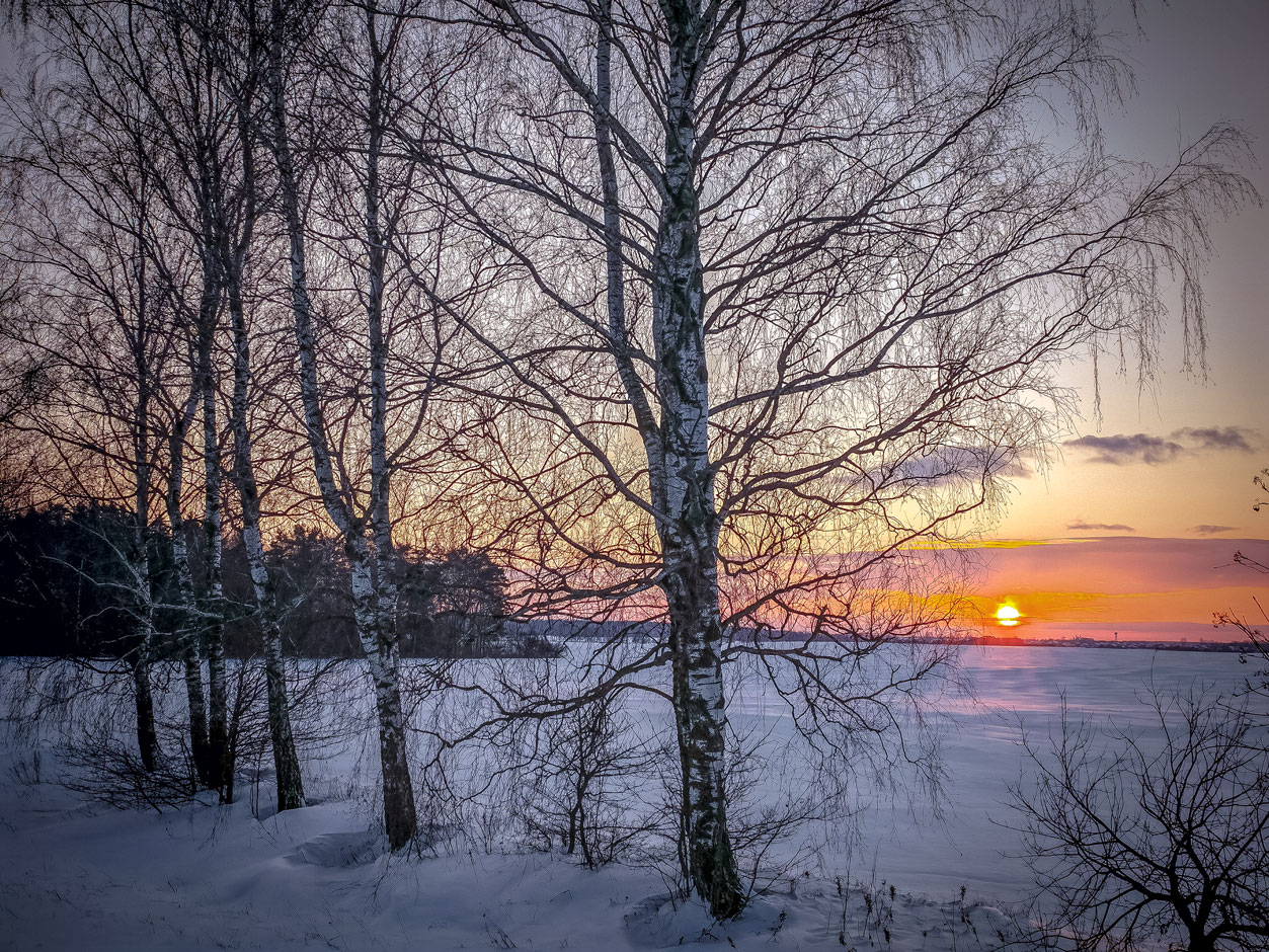 Die Januar-Sonnenuntergänge