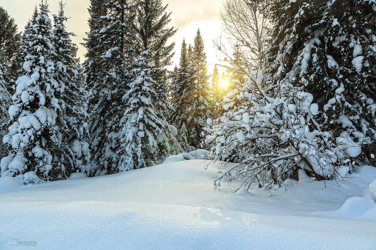 Sonnenuntergang im Winter