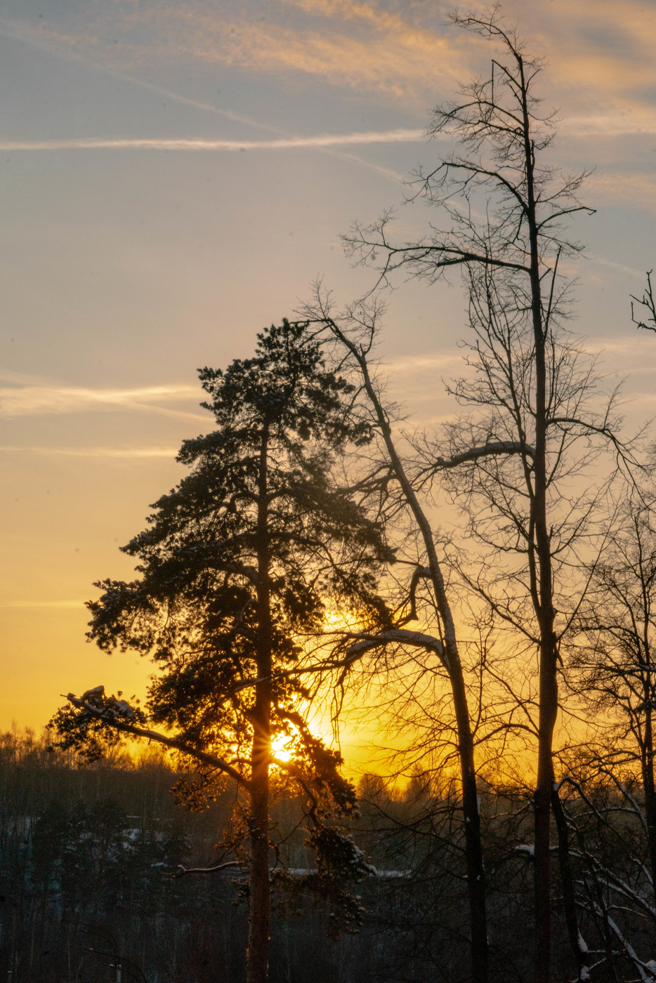 Sonnenuntergang im Winter