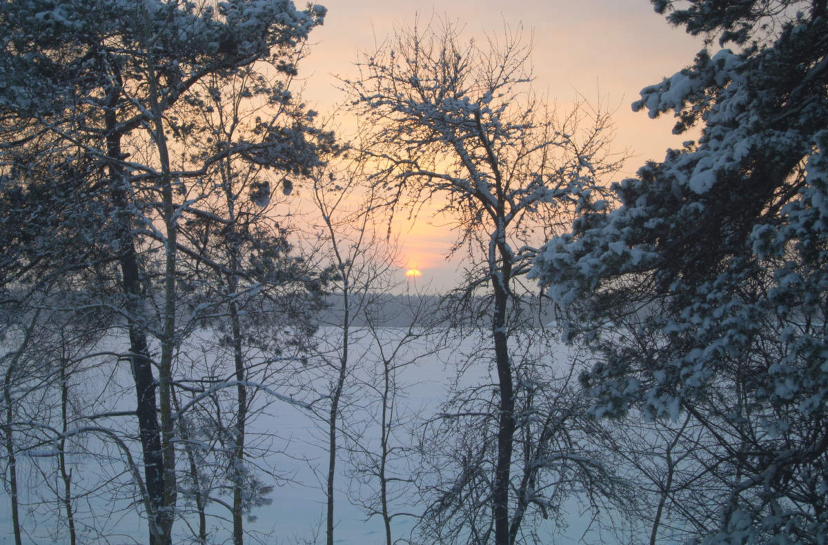 Blick aus dem Fenster