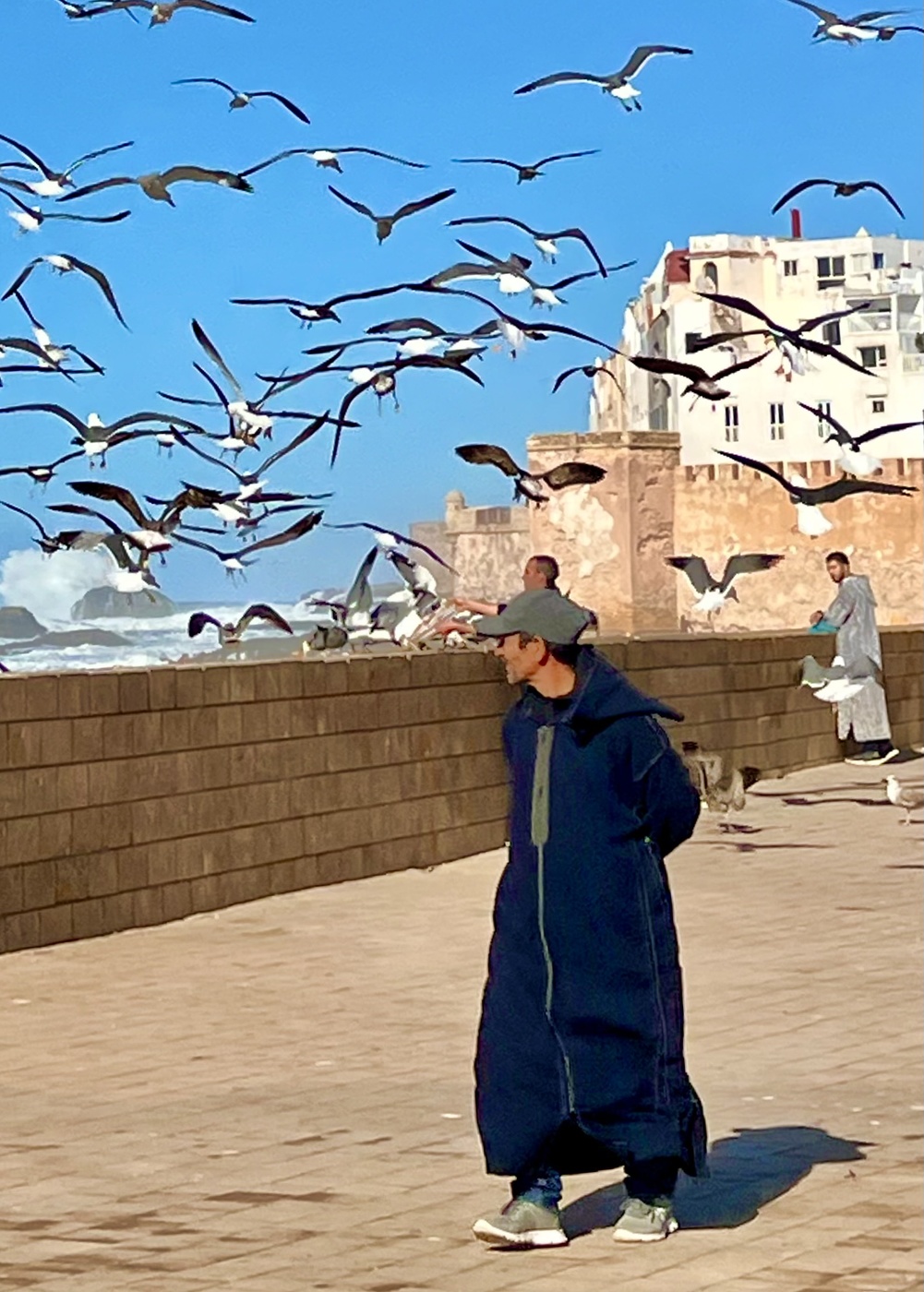 Essaouira, windy port