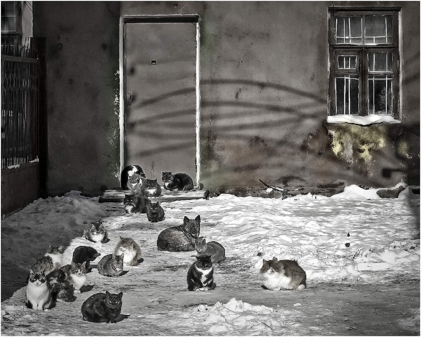 Unter dem Deckmantel