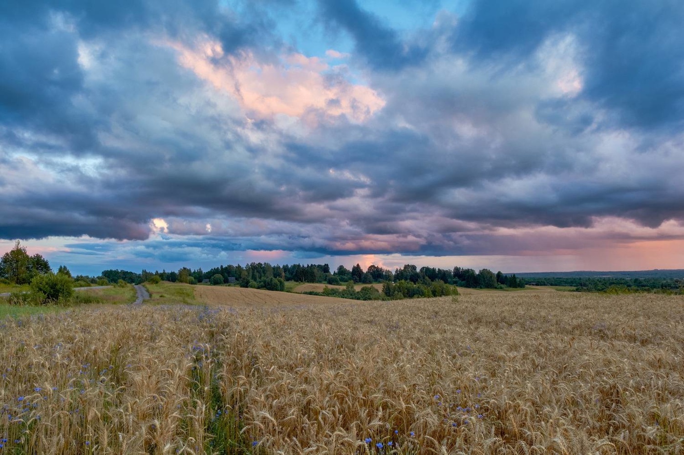 Einheimische Freiflächen