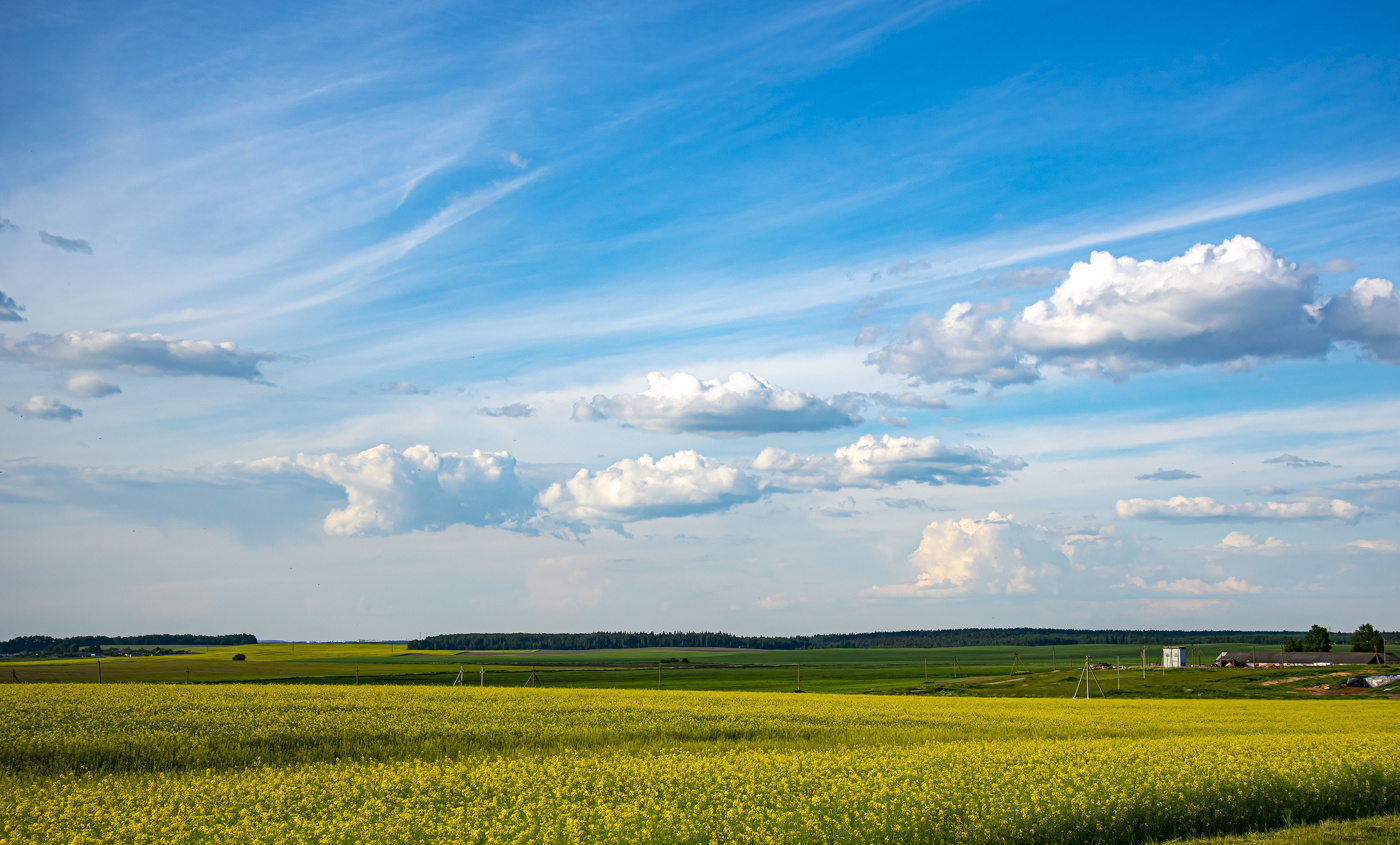 Einheimische Freiflächen