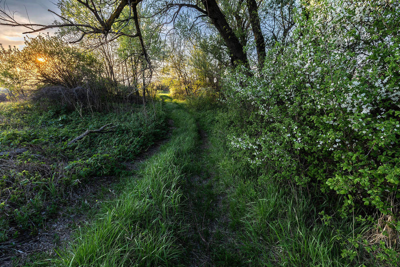auf unbekannten Pfaden