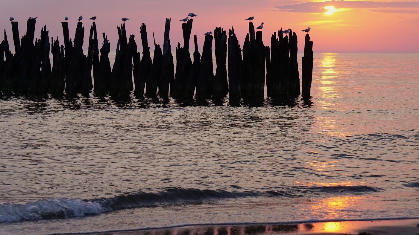 Melody Sonnenuntergang