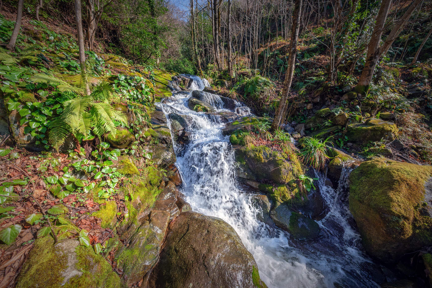 Spring Waterfall In Mtirala Park
