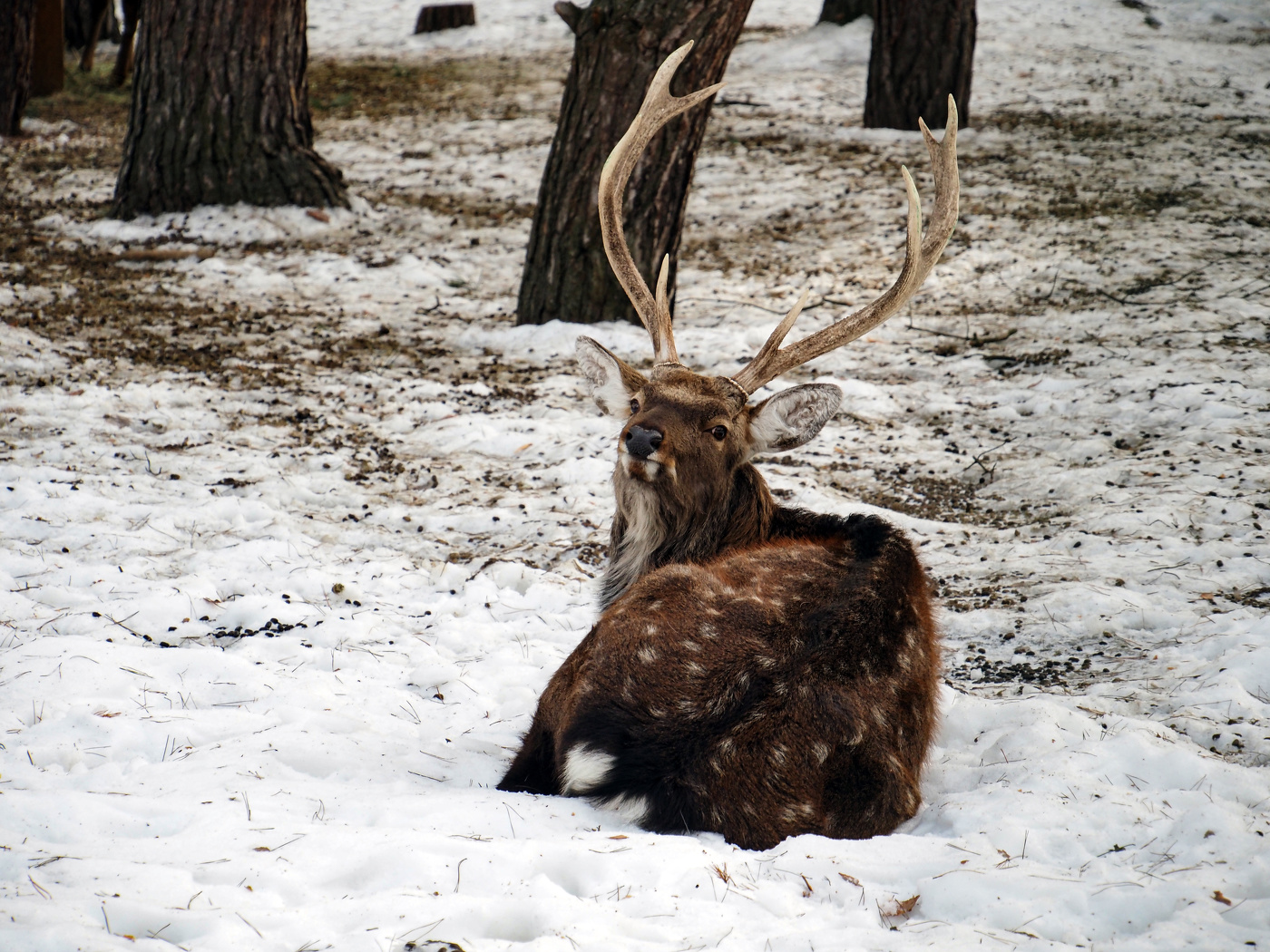 In gewisser Weise ...