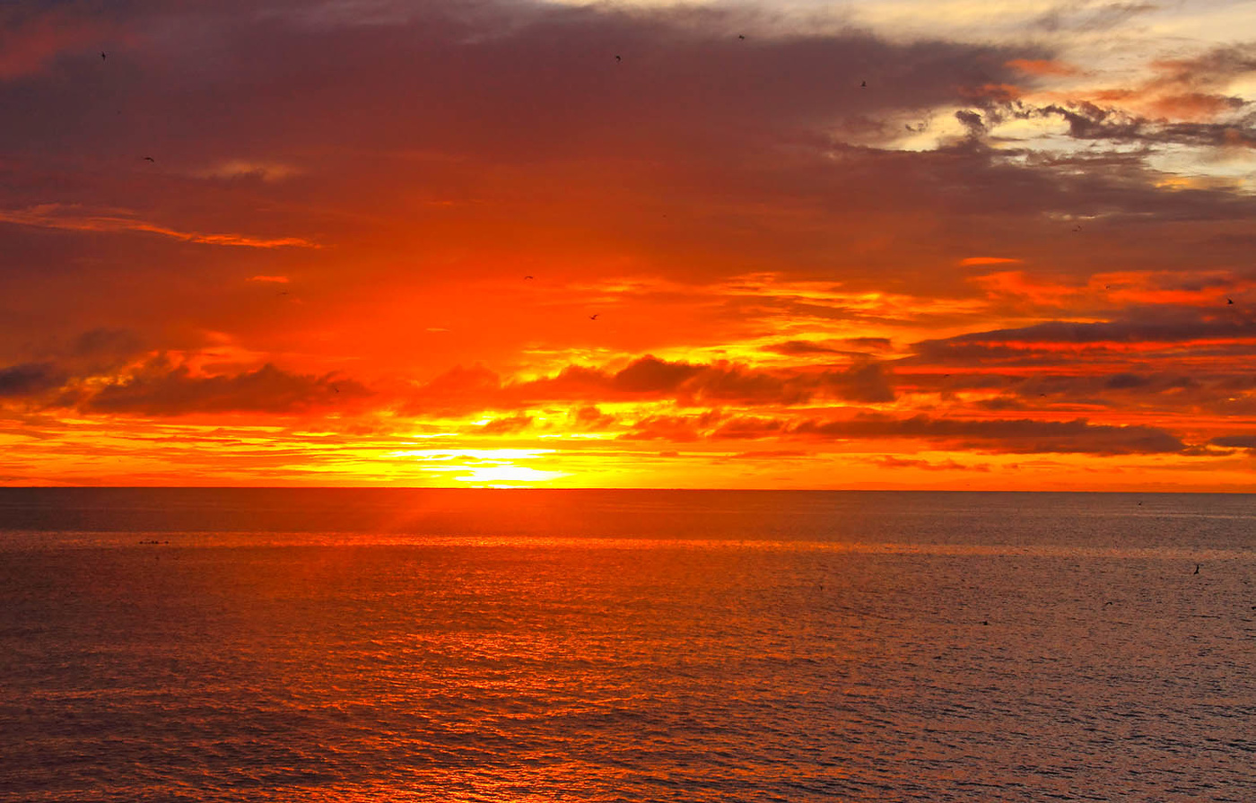 Sonnenaufgang im Wald