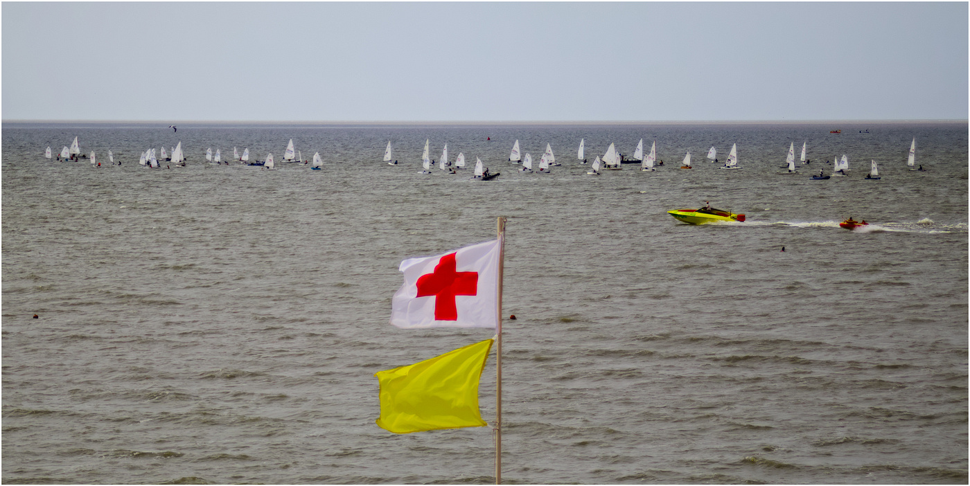 Regatta