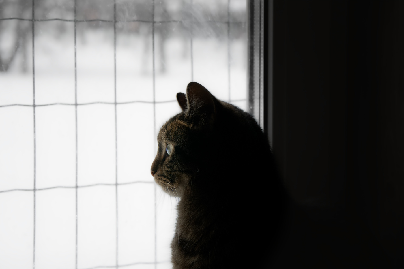 Warten auf den Frühling