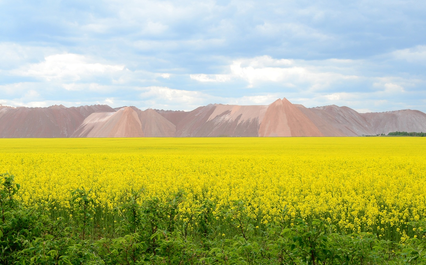 Frühlingslandschaft