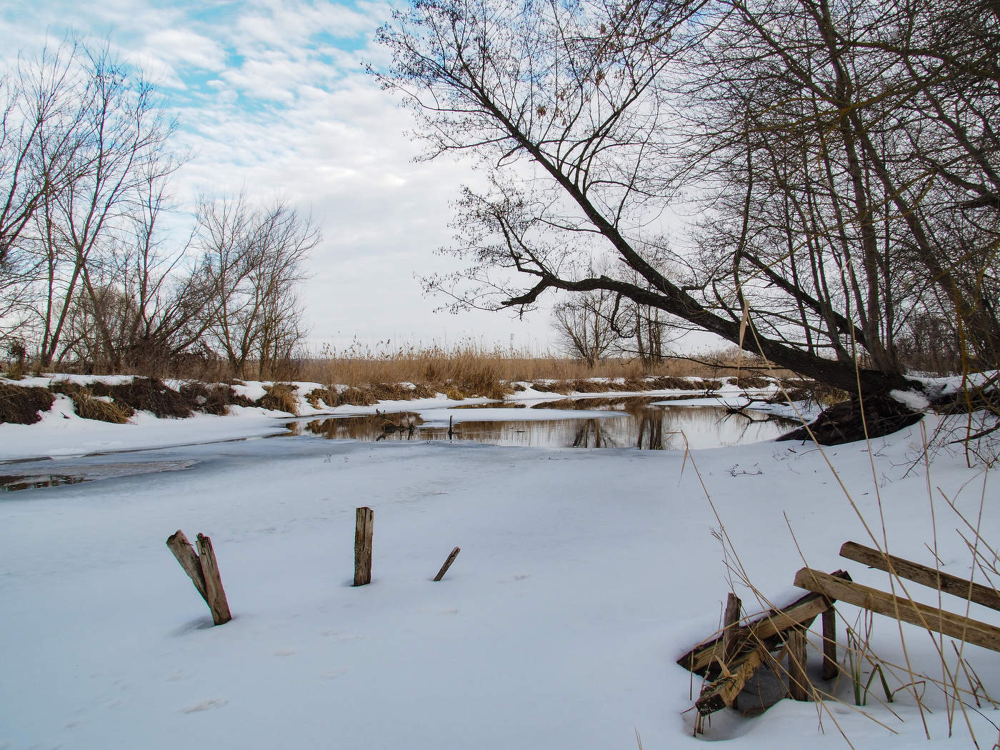 Ersten Tag des Frühlings