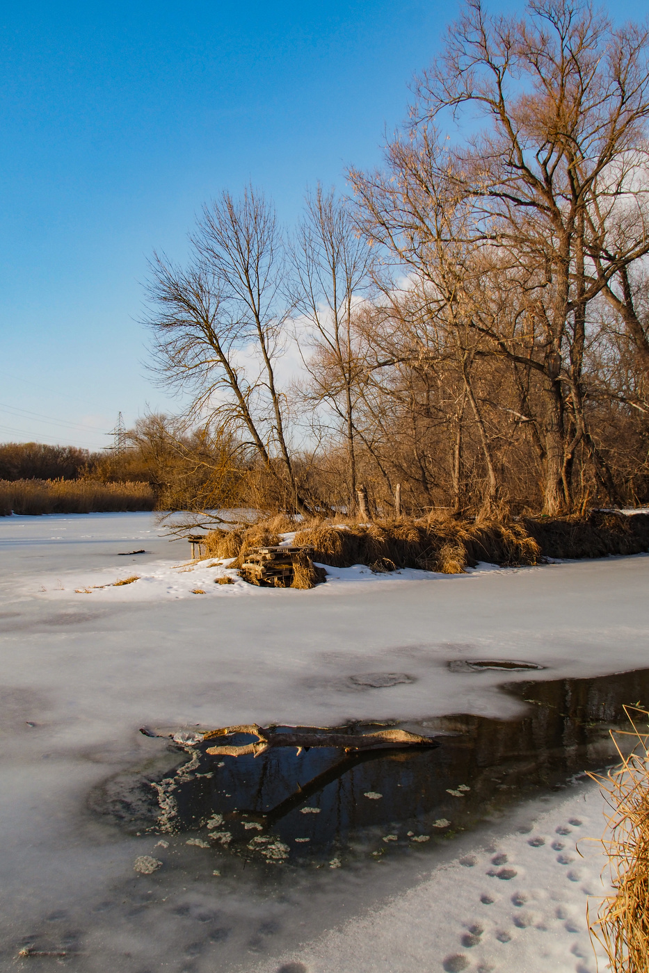 Erste Patches aufgetaut