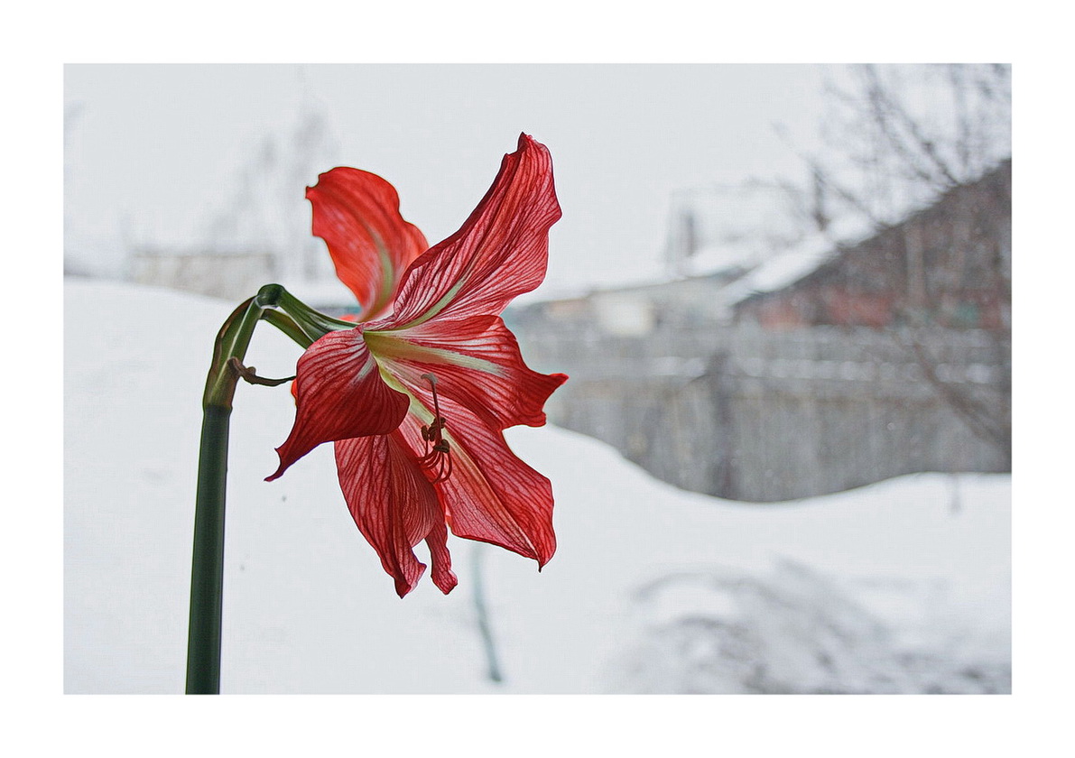 Herzlichen Glückwunsch, liebe Frauen!