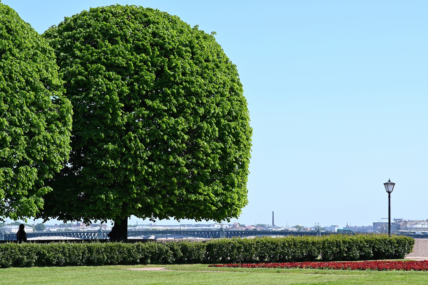 Arrow of Vasilevsky Insel