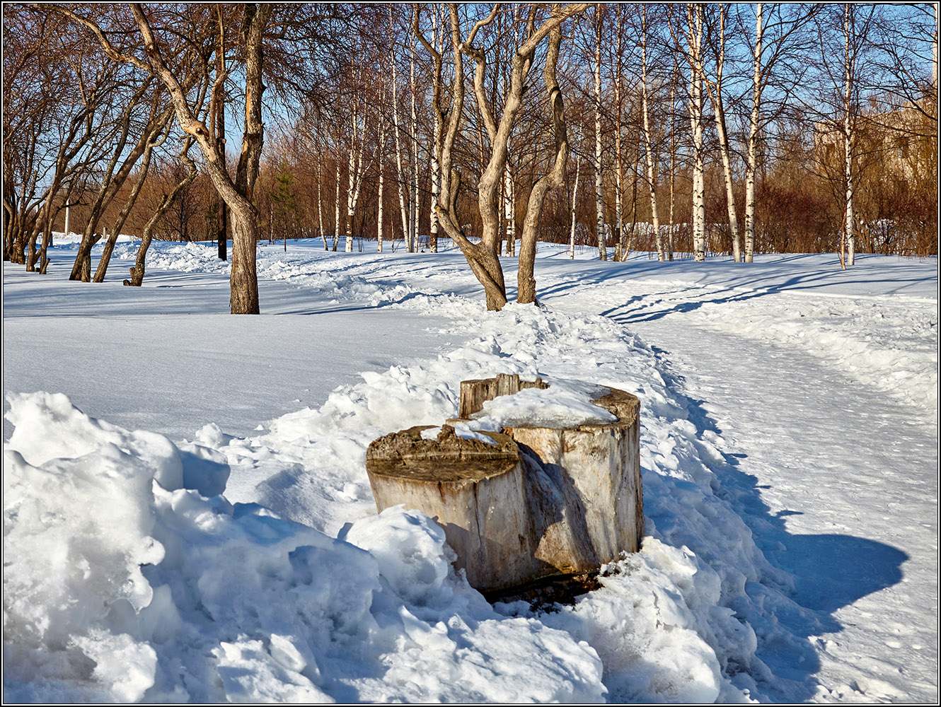 und sogar ein Baumstumpf an einem Frühlingstag ...
