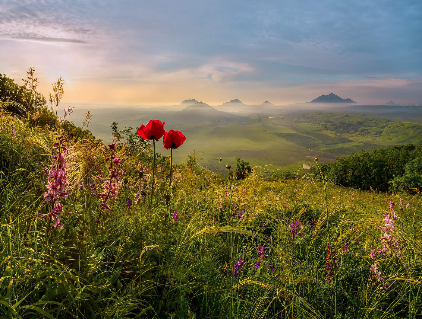 Der Geruch von Frühling