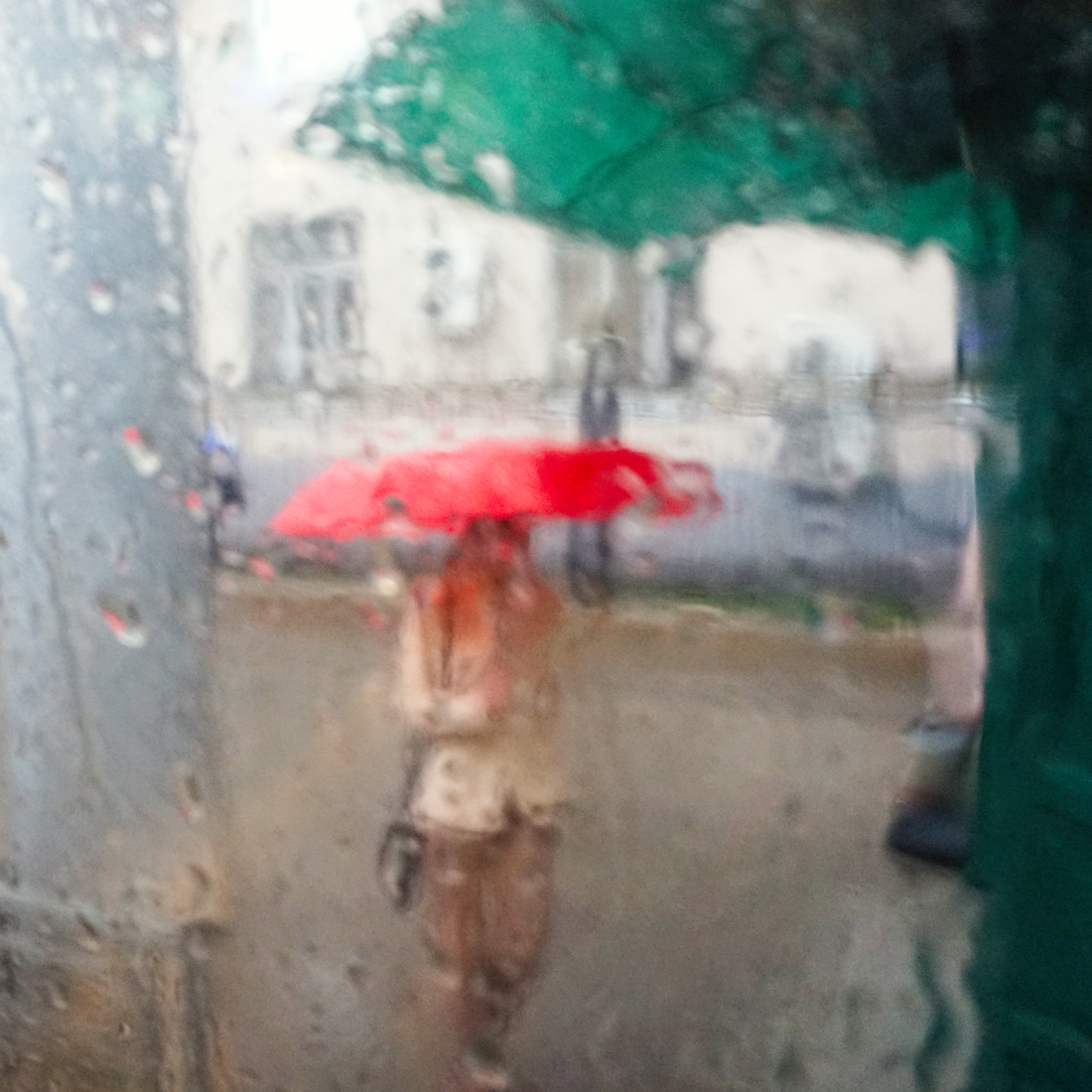 bis die Kühe nach Hause kommen