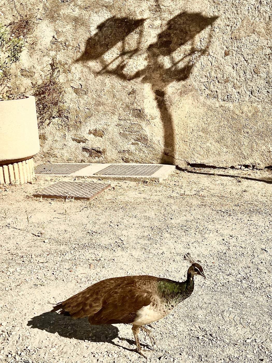 Sunny day in a castle