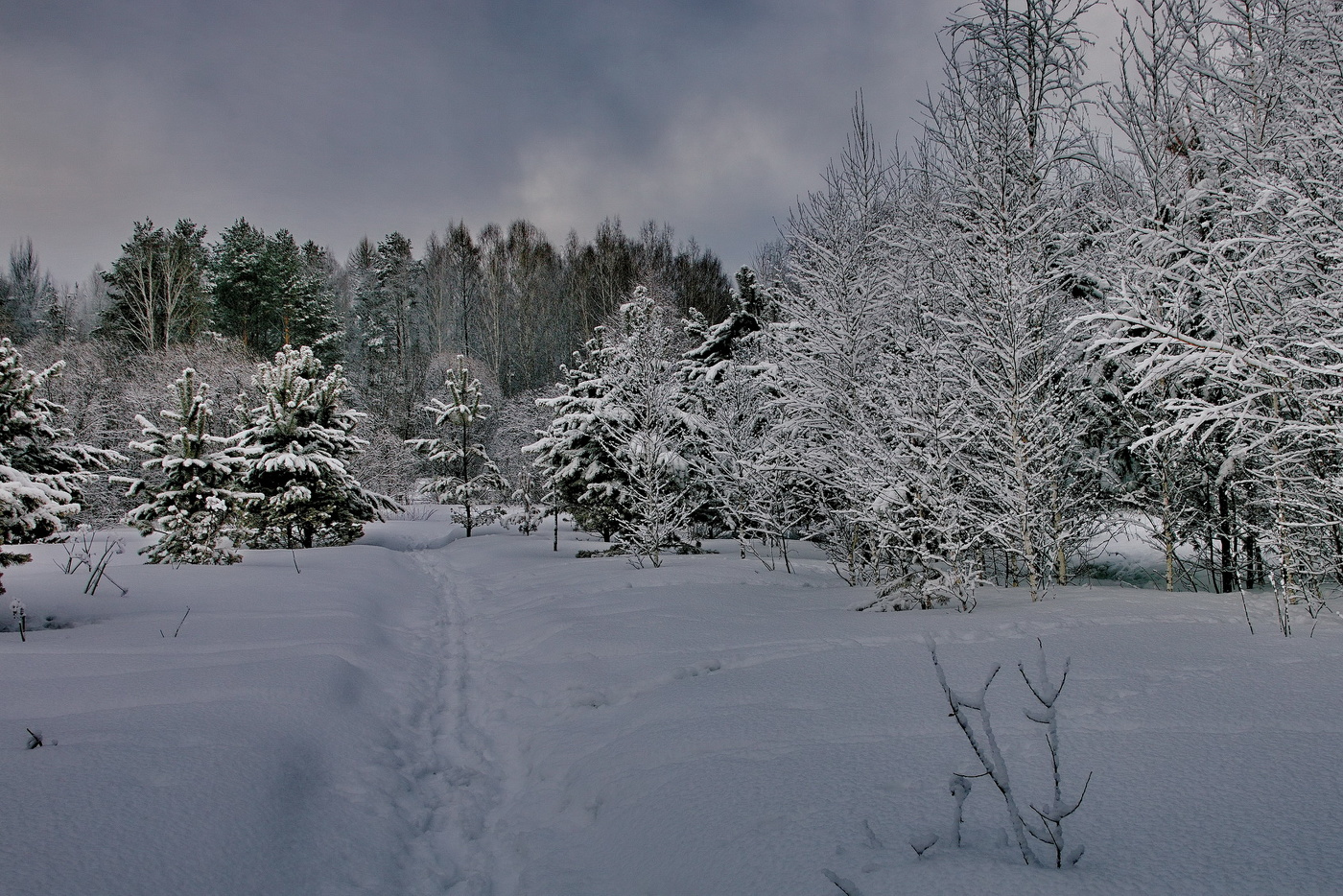 ***Holodnoe utro s lyogkim tumanom.