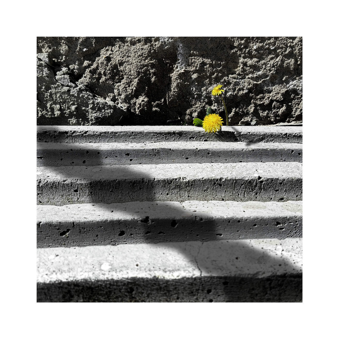 The first special ones