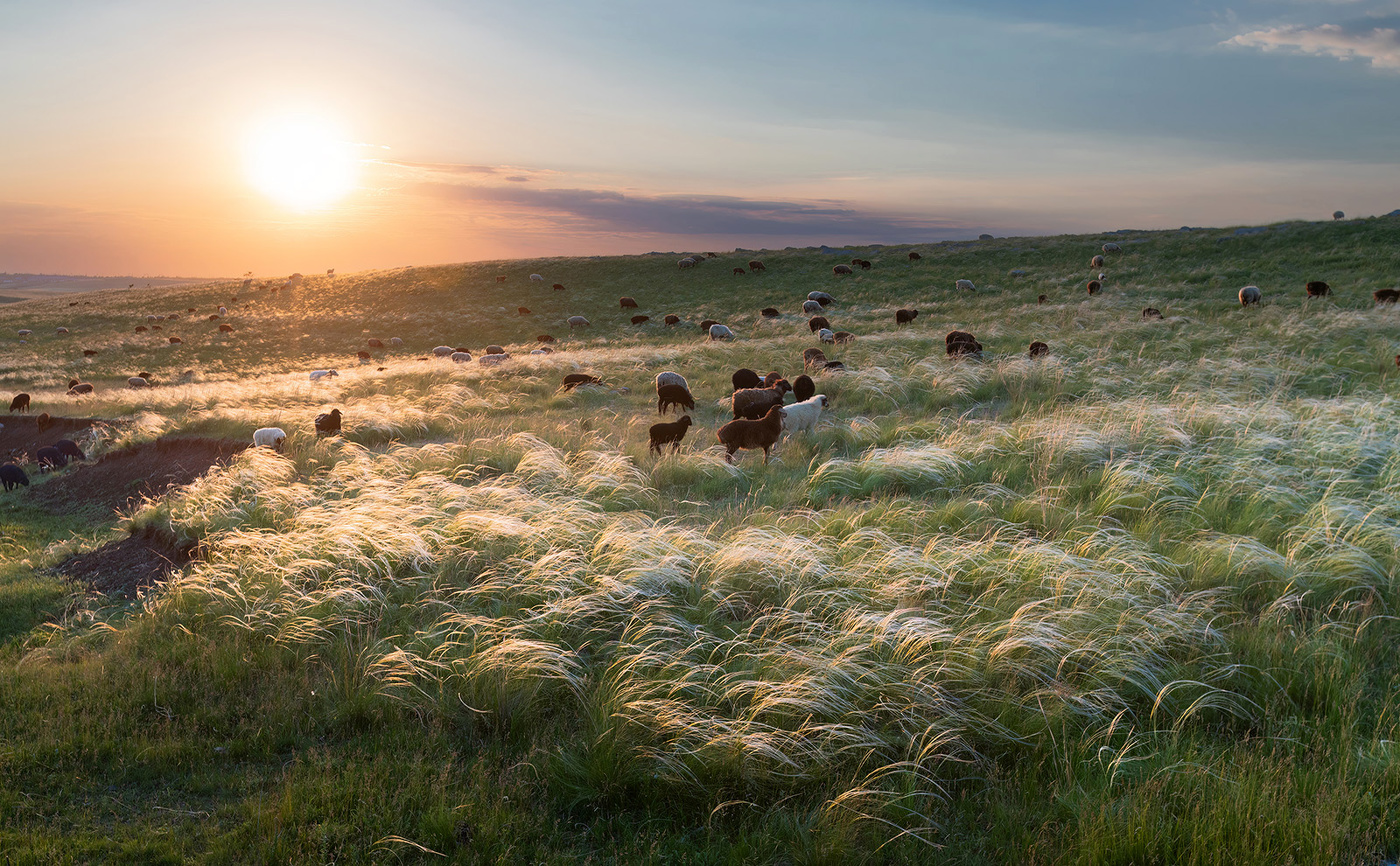 Die Mauern des Klosters