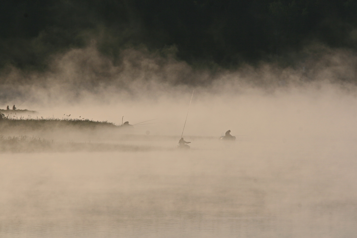 Morning fishing