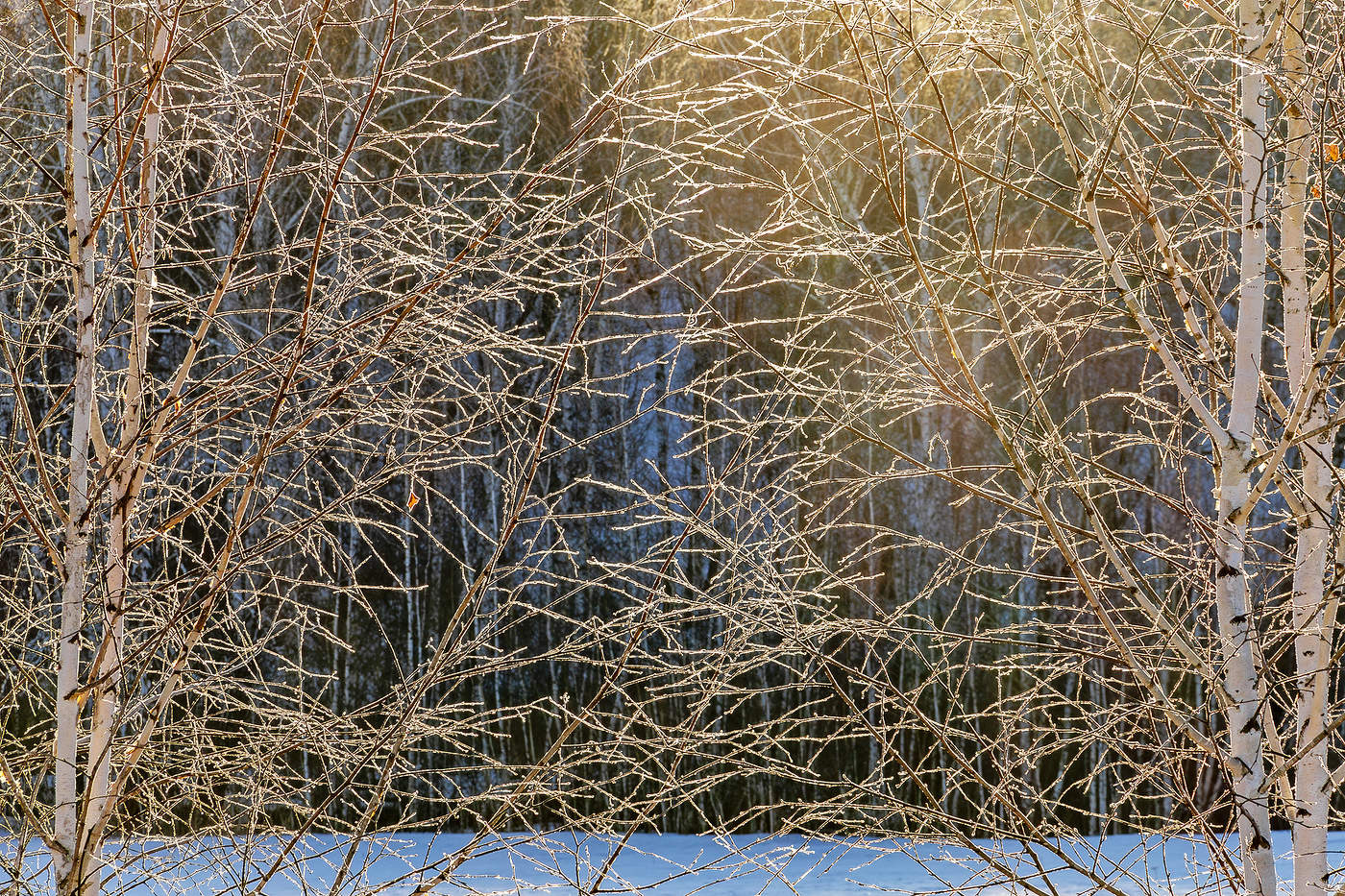 Der Geruch von Frühling