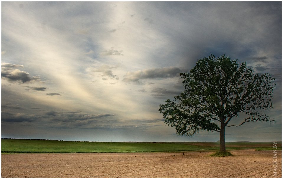 Eines Tages aus dem winzigen Land, wo seine Kindheit lebte