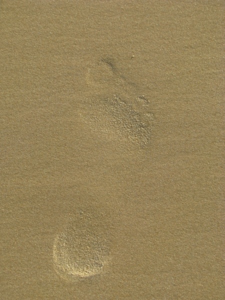 Spuren im Sand