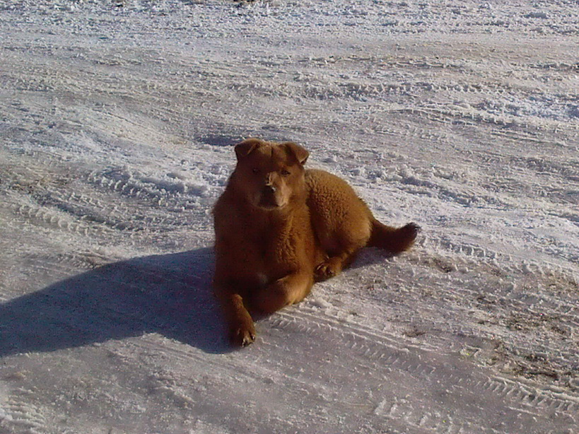 Der Eigentümer der Straße