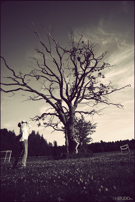 Amber BREEZE 2009 Lettland