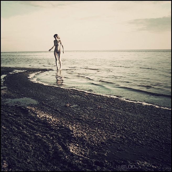 Amber BREEZE 2009 ***++