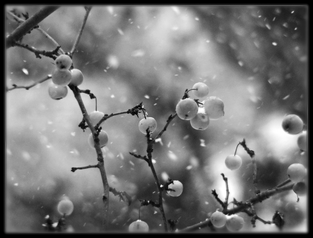 Es gibt keine Hoffnung für April