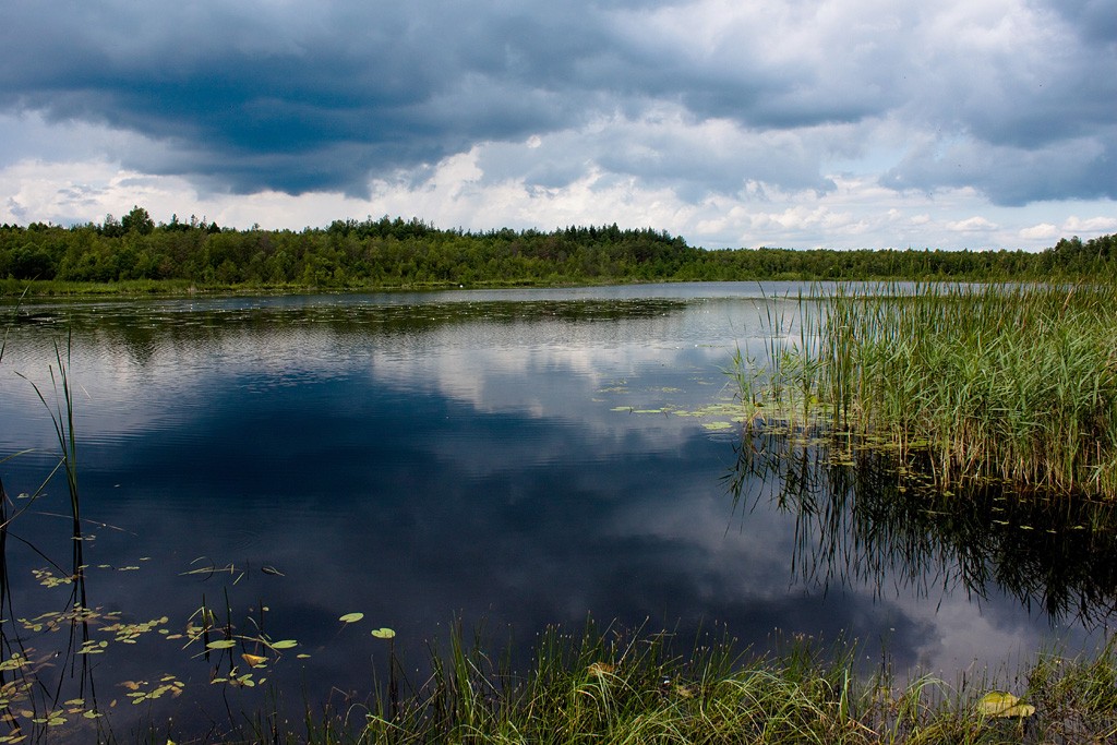 5 Minuten vor dem Sturm ......