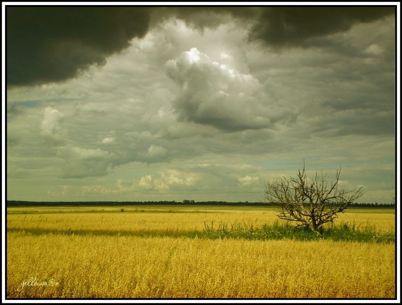 Und man auf dem Gebiet .....