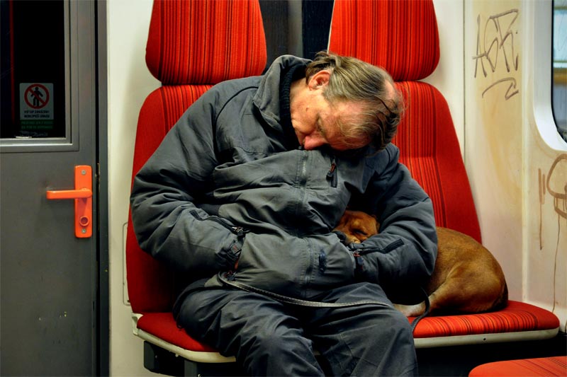 Ein weiterer Hund Prag