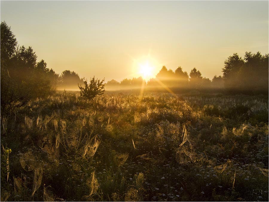 Morgen im Tal der Spinnen