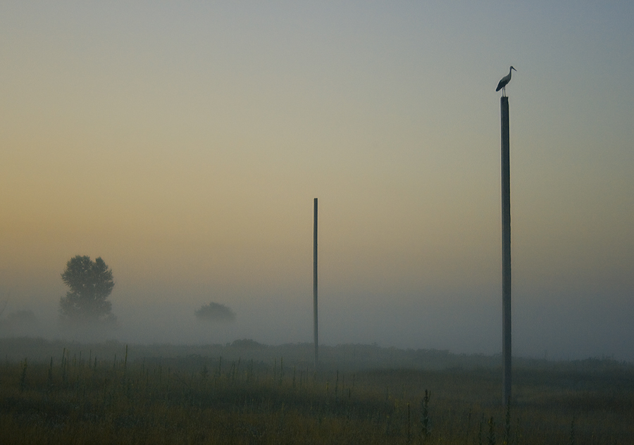 Bewachung Morgengrauen