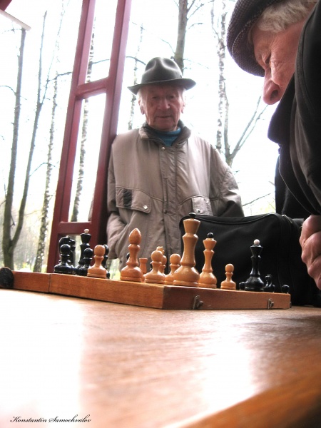 Philosophie des Schachs