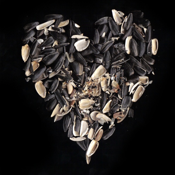 Liebe ist nicht Samen.