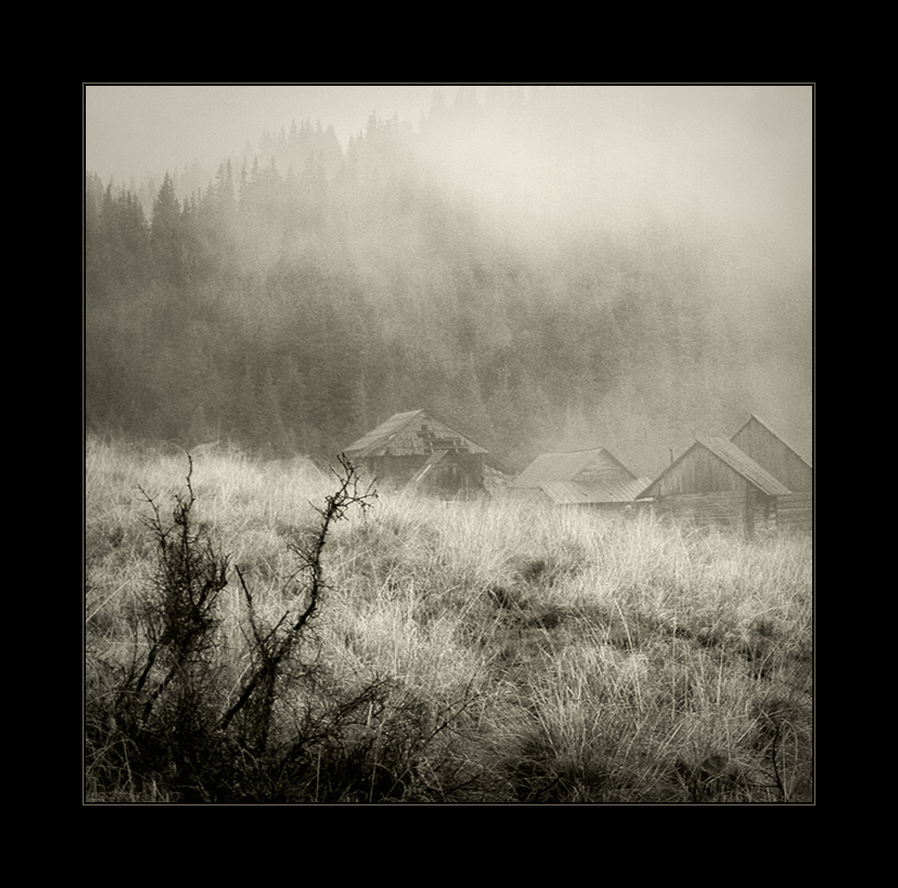 aus der Serie "Lost kleine Welt"