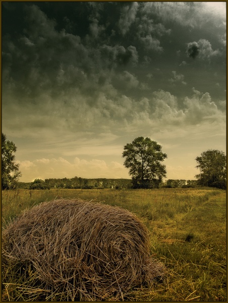 Gestern der zweite Monat des Sommers