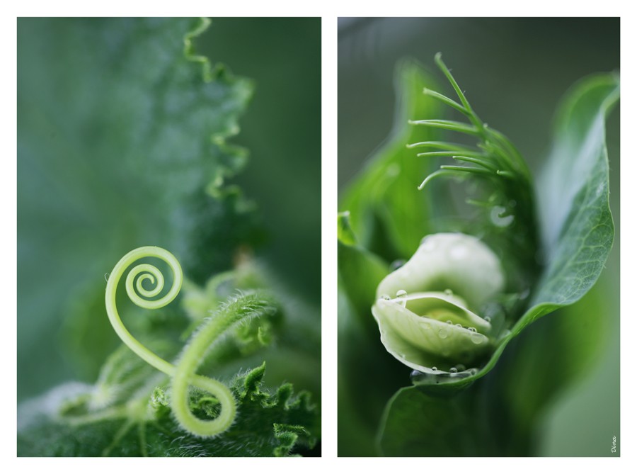 Ungewöhnliche der üblichen