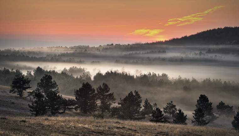 Nebel auf dem Plateau