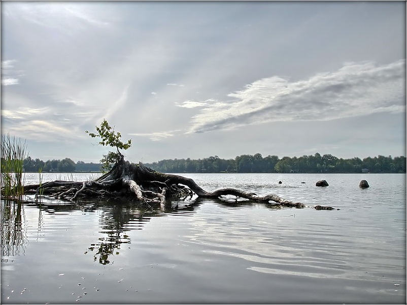 i Budza Ranak, i nova Zen ..